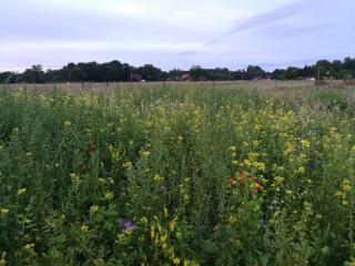 Residenz Bollwark 2 2 - 9