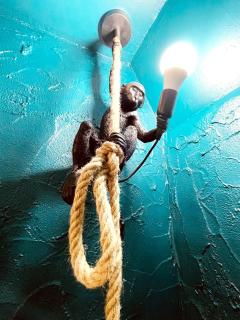 Le Jungle SPA **** - 4