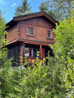 Måsåplassen Friisvegen Mountain Lodge - Ringebu - 3