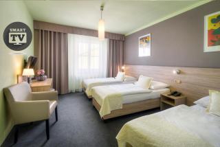 Atlantic Hotel - Prague - 9