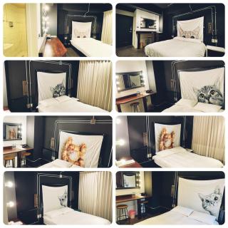 Sky Tree B&B - Taichung - 7