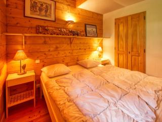 Superbe duplex aux pieds des pistes avec Wifi - FR-1-642-2 - Morillon - 2