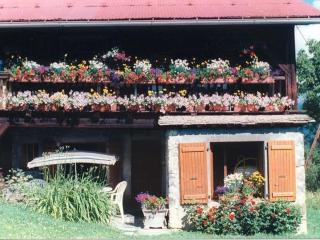 Ferme rénovée à Morillon - Sauna, Terrasse, 3 Chambres - FR-1-642-10 - Morillon - 9