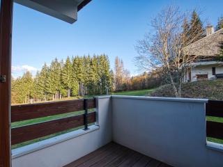 Appartement cosy pour 4, au pied des pistes à Morillon 1100, proche jardin d'enfants - FR-1-642-41 - Morillon - 5