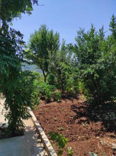 One Bedroom Apartment Gogo with Private Parking - Neum - 1