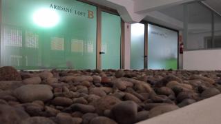 aridane loft - Los Llanos de Aridane - 9