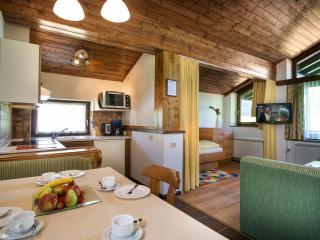 Appartementhaus Gastein inklusive Alpentherme gratis - 1