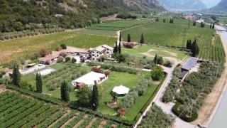 Az. Agr. Tenuta La Casetta - Mama - 8