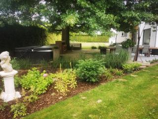 Bed & Bokes aan de Maaskant - 8