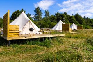 Walltree House Glamping - 8