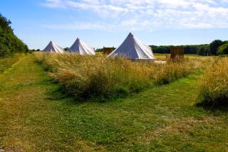 Walltree House Glamping - 3