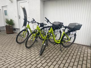 Ferienwohnung am Rande der Dübener Heide - Laußig - 9