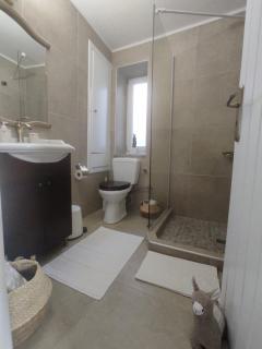 House Moschα - Andros - 1