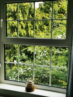 Balally House - Shannon - 9
