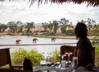 Kudu Safari Camp - 9