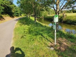 Les Mout'Anes - Saint-Hilaire-sur-Helpe - 7