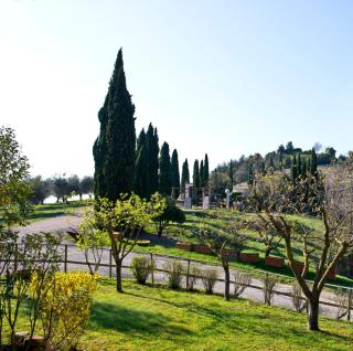 Agriturismo Torre Burchio - 8