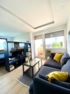 Ferienwohnung ilsa Nr.1 mit Panoramablick - Friedrichshafen - 8