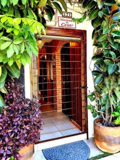 Hacienda en Primavera, descanso Familiar total - 8