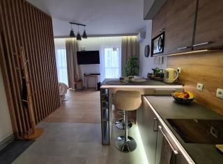 Malta Delux Apartment, free parking, self check-in 24h - Poznan - 0