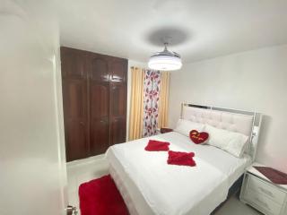 Santiago Monumental Area Cozy 3 bedrooms Apartment for 7 peoples - transportation 24 hours-9 - Santiago de los Caballeros - 3