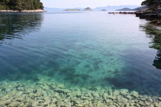 Rooms by the sea Pomena, Mljet - 4929 - Pomena - 6