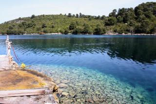 Rooms by the sea Pomena, Mljet - 4929 - Pomena - 5