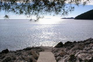 Apartments by the sea Brna, Korcula - 4478 - Smokvica - 5