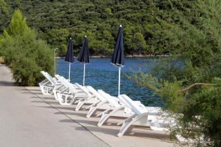 Apartments by the sea Pasadur, Lastovo - 8386 - Lastovo - 6