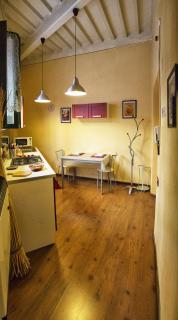 Nice apartment on the riverside - Pisa - 9