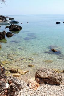 Apartments by the sea Molunat, Dubrovnik - 8956 - 6