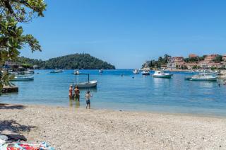 Apartments by the sea Brna, Korcula - 561 - Smokvica - 7