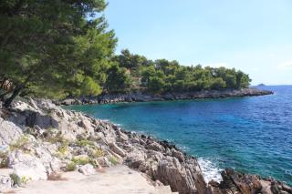 Seaside secluded apartments Grscica, Korcula - 9228 - Prižba - 6