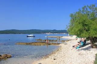 Apartments by the sea Orebic, Peljesac - 10190 - Orebić - 9
