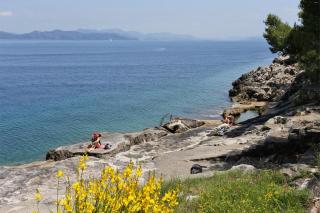 Apartments with a parking space Trpanj, Peljesac - 10111 - Trpanj - 8