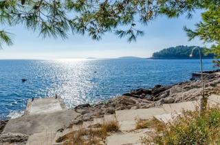 Seaside family friendly house with a swimming pool Karbuni, Korcula - 14776 - Prizba - 6