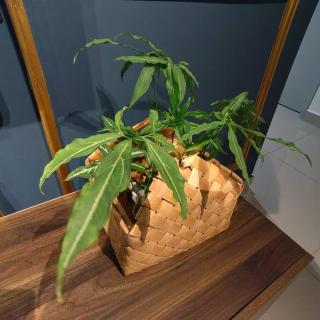 ALOCASIA Geniehome 3BR Free Wifi @ Utropolis Shah Alam - Shah Alam - 3