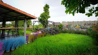 Rice Wonder Cafe & Eco Resort - 3
