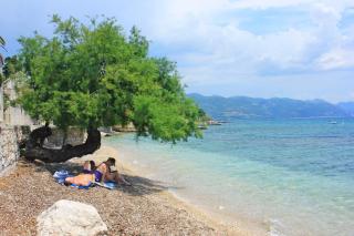 Apartments with a parking space Orebic, Peljesac - 4494 - Orebić - 7