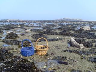 Cap sur Pen ar Valy à Plougoulm - Plougoulm - 7