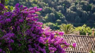 Hotel Can Verdera - 5