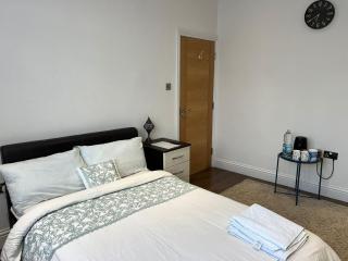 Deluxe Homestay near Tottenham Hotspur Stadium - 1