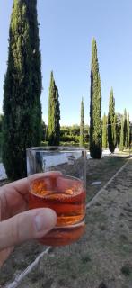 B&B Agriturismo Regno di Toscana - Collesalvetti - 4