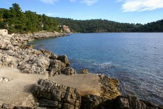 Apartments by the sea Brna, Korcula - 4333 - Brna - 7