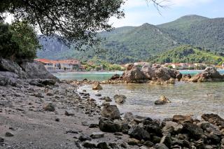 Apartments by the sea Zuljana, Peljesac - 10233 - Žuljana - 5