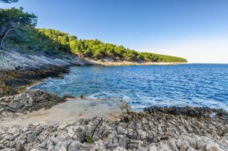 Seaside house for families with children Cove Zanavje, Korcula - 19224 - Blato - 7