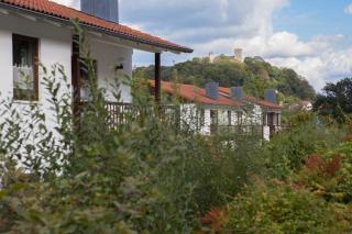 Ferienpark im schönen Falkenstein 4 - Falkenstein - 8