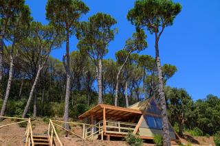 Il Castagno Toscana Glamping - 6