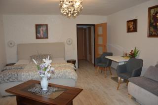 Hotel Olga - Slavkov u Brna - 7