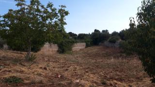 Casetta in campagna da zia Tonia - Martina Franca - 8